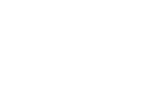 Google Nest Logo