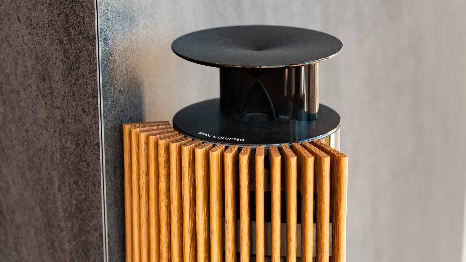 Bang and Olufsen Side Home Audio System Speakers