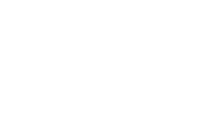 Marantz Logo