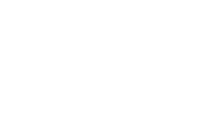 Flexson Logo