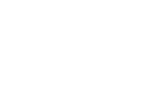 iPort Logo