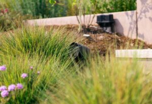 Sonance outdoor speakers hidden in the backyard